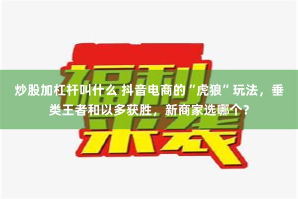 炒股加杠杆叫什么 抖音电商的“虎狼”玩法，垂类王者和以多获胜，新商家选哪个？