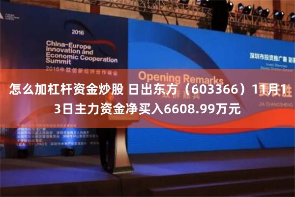 怎么加杠杆资金炒股 日出东方（603366）11月13日主力资金净买入6608.99万元