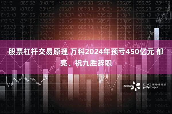 股票杠杆交易原理 万科2024年预亏450亿元 郁亮、祝九胜辞职